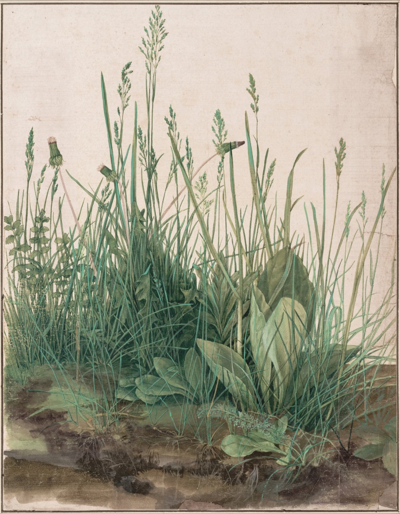 The Large Piece of Turf(1503)
